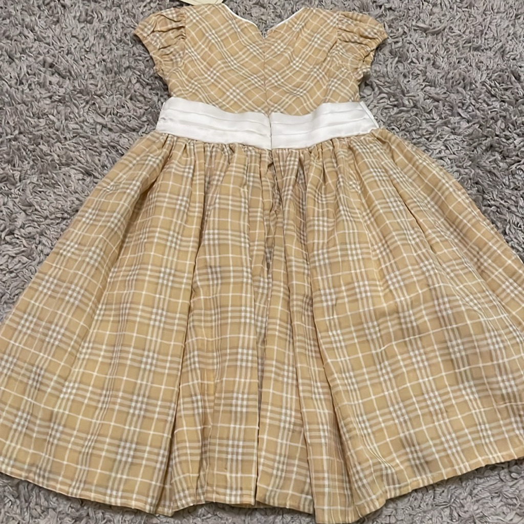 Nwt Trish Scully Ilsa Dress, Size 6 — image 5 of 6